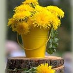 Profile Picture of Patrick Jefferson (@jefferson43219440) on Instagram