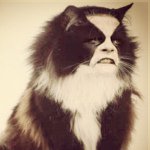 Profile Picture of Thomas V Jäger (@thomas_v_jager) on Instagram
