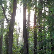 Profile Picture of Tom Hodges (@tomhodges2291) on Youtube