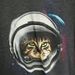 Profile Picture of Jeremy Gatto (@gatto2172) on Pinterest