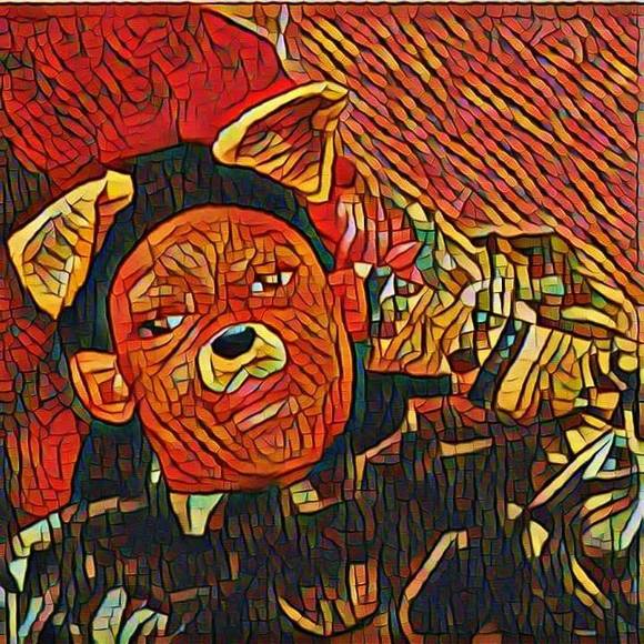 Profile Picture of Tazir Lightford (@tazirlightford) on Poshmark