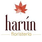 Profile Picture of Flores-decoracion con flores (@harun_floristeria.axm) on Instagram