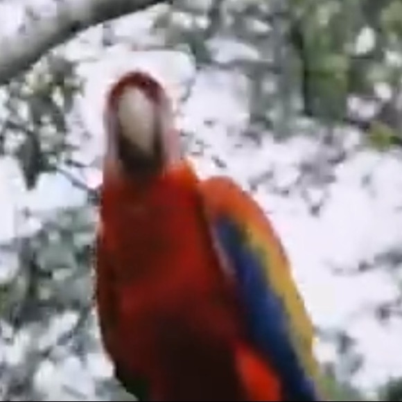 Profile Picture of Garrett Panciera (@thegarrett123) on Poshmark