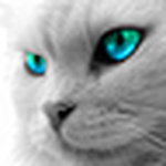 Profile Picture of Patty Silva Molina (@patymolinas) on Flickr