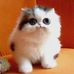 Profile Picture of Kim Fessler (@kim.fessler.58) on Facebook