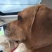 Profile Picture of Tom Wiegman (@tom.wiegman.75) on Facebook