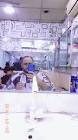 Profile Picture of   AmilRahman🇧🇩... (@amilrahman) on Tiktok