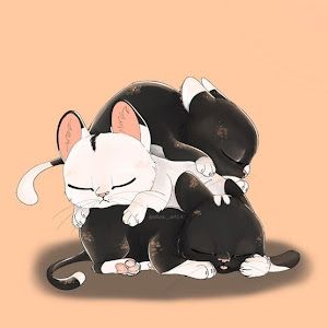 Profile Picture of meredith hébert (@usergkenh4arzr) on Tiktok