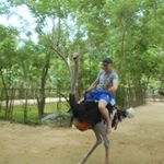 Олег Панфилов - Instagram Profile Picture of Олег Панфилов (@olegpanfilov69) on Instagram