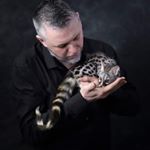 Profile Picture of Nigel King (@musketmad) on Instagram