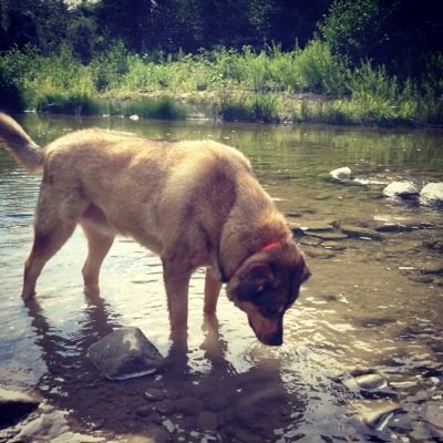 Profile Picture of Thomas.sisson (@_Thomas_sisson_) on Twitter