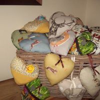 Profile Picture of Holly Iris (@holly-iris-2) on Quora