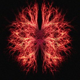 Profile Picture of Andrew Jerez (@imperialmonster) on Pinterest