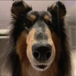 Profile Picture of Mark Wiacek (@markwiacek) on Instagram