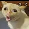 Profile Picture of Michaela Coyle (@@user867342560) on Tiktok