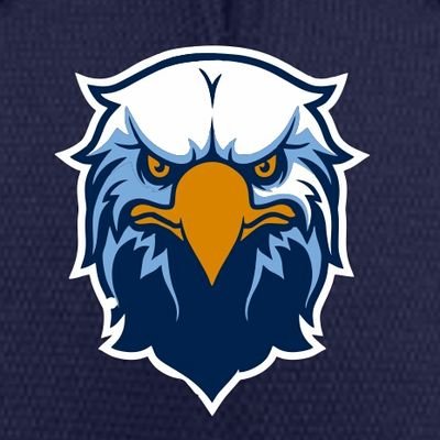 Profile Picture of Dom Aitro Eagles (@DomAitroEagles) on Twitter