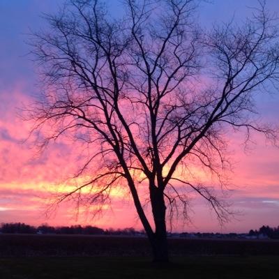 Profile Picture of Kelly Allegree Engel (@AllegreeEngel) on Twitter