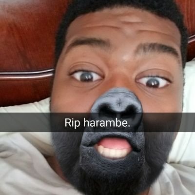 Profile Picture of Jonas Kahnwald (@SheLikesTheD) on Twitter