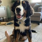 Profile Picture of Greg Sauve (@greg.sauve.5) on Facebook