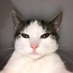 Profile Picture of Albert Klubek (@Albert-Klubek) on Facebook