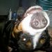 Profile Picture of Holly Brighton-Szych (@hollyjbs) on Pinterest
