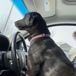 Profile Picture of Brady Kohls (@brady.kohls) on Instagram