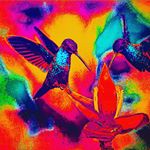 Profile Picture of Tehya (@tehya19) on Instagram