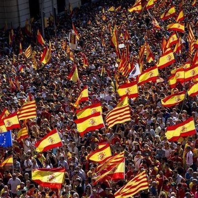 Profile Picture of Manuel Bolaños Lora (@mvelabogados) on Twitter