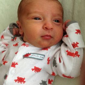 Profile Picture of Marlene Knapp (@prtipny) on Pinterest