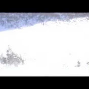 Profile Picture of Andrew Wiseman (@dwisesnow) on Youtube