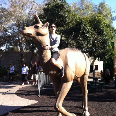 Profile Picture of Steven Karras (@camelboy96) on Twitter