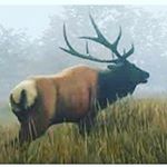 Profile Picture of hunter_call_of_the_wildd (@hunter_call_of_the_wildd) on Instagram