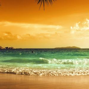 Profile Picture of Debbie Tester (@debbie.tester) on Tiktok