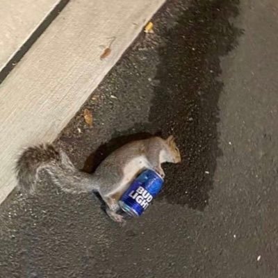 Profile Picture of Jared (@JaredDeLaRosa9) on Twitter