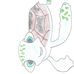 Profile Picture of Stephen Swift (@stephen.swift.332) on Facebook