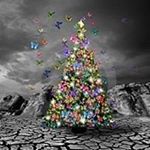 Profile Picture of Paula Felton Shute (@paulashute77) on Instagram