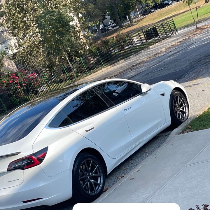 Profile Picture of Peter Facciola (@peterfacciola) on Tiktok