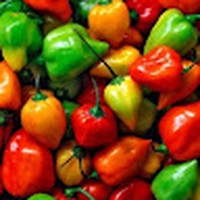 Profile Picture of Paul Alger (@paul-alger-10) on Quora