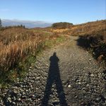 Profile Picture of John Pidgeon (@pidgeon86) on Instagram