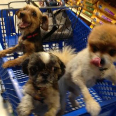 Profile Picture of Ron N' Dayna Alcorn (@AlcornDayna) on Twitter