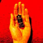 Profile Picture of Matthew DiPaolo (@matthew.dipaolo.9) on Facebook