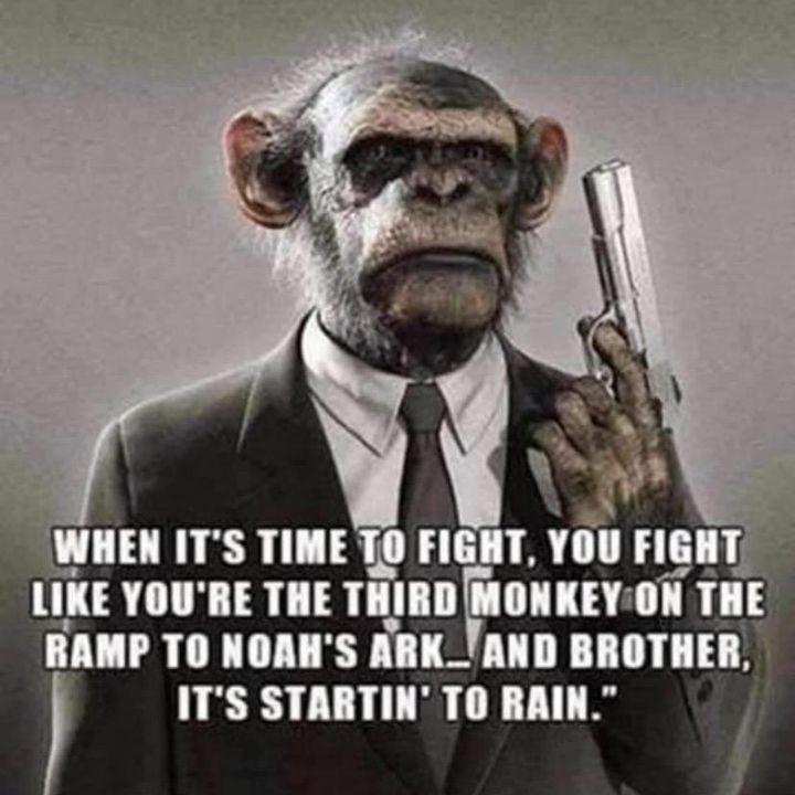 Profile Picture of Richard Maxwell (@richardmaxwell03) on Tiktok