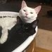 Profile Picture of Peter Doering (@peter.doering.31) on Facebook