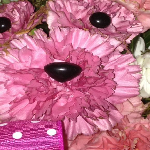 Profile Picture of Kazimiera Cieply (@kasiac44) on Poshmark