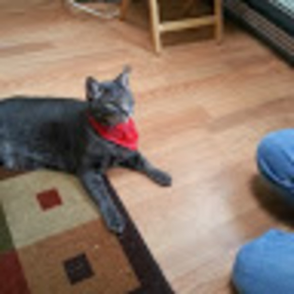 Profile Picture of Nancy Alley (@nbab1106) on Poshmark