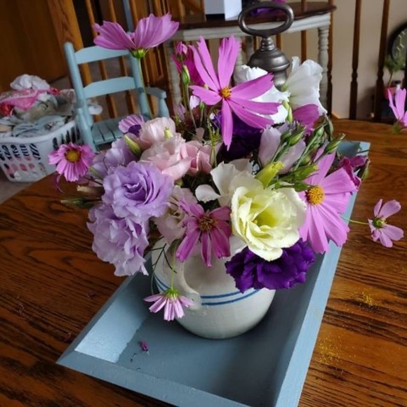 Denise Dyrhaug elfelt - Poshmark Profile Picture of Denise Dyrhaug elfelt (@delfelt) on Poshmark