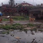 Profile Picture of Abera Alemu (@alemuabera) on Instagram