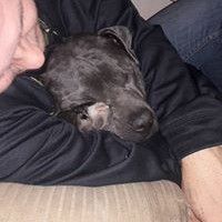 Profile Picture of James Darland (@james-darland) on Quora