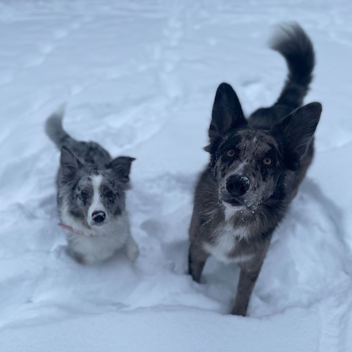 Profile Picture of Darren Lundgren (@lundgren807) on Tiktok