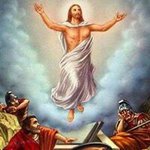 Profile Picture of Emad Kaldas (@emad.kaldas) on Instagram